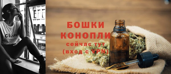 дмт Заводоуковск