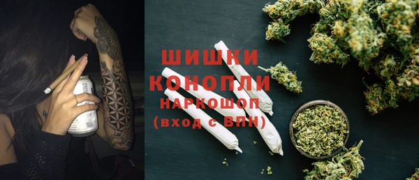 шишки Осинники