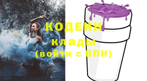 дмт Заводоуковск