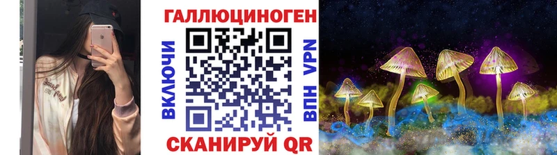 Псилоцибиновые грибы Psilocybine cubensis  Купить закладки  Кашира 